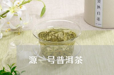 源一号普洱茶/2023101678391