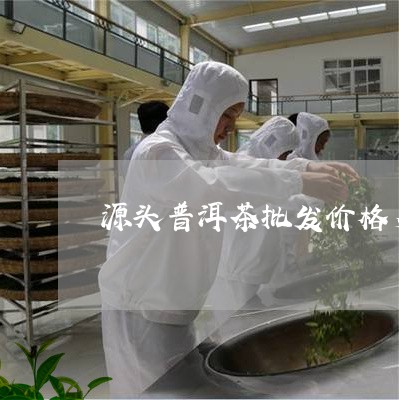 源头普洱茶批发价格多少/2023112837482