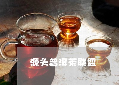 源头普洱茶联盟/2023081845169