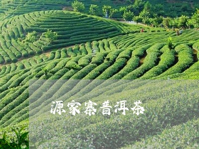 源家寨普洱茶/2023042901787