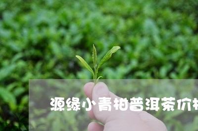 源缘小青柑普洱茶价格/2023072246070