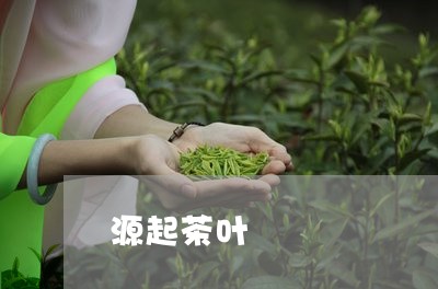 源起茶叶/2023110848481