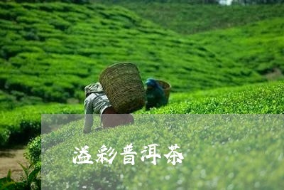 溢彩普洱茶/2023102502605