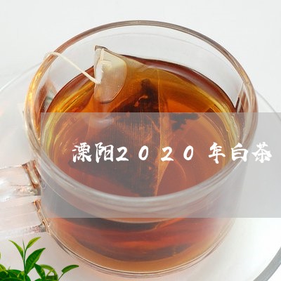 溧阳2020年白茶/2023121519401