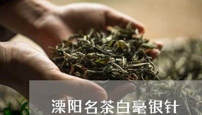 溧阳名茶白毫银针/2023090762815