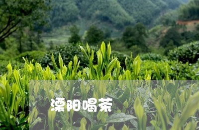 溧阳喝茶/2023090138362