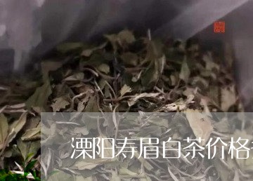 溧阳寿眉白茶价格多少/2023100272525