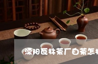 溧阳瓦林茶厂白茶怎样/2023100215838