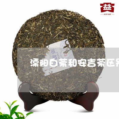 溧阳白茶和安吉茶区别/2023100392401