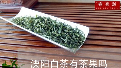 溧阳白茶有茶果吗/2023100289381