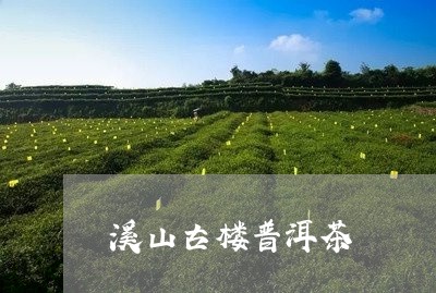 溪山古楼普洱茶/2023120325360