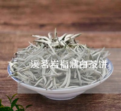 溪茗岩福鼎白茶饼/2023082647171