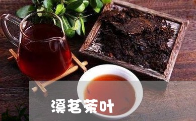 溪茗茶叶/2023090140493