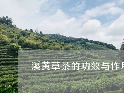 溪黄草茶的功效与作用价钱/2023051137350