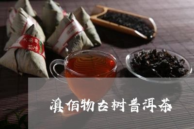 滇佰物古树普洱茶/2023101627360