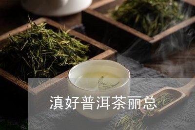 滇好普洱茶丽总/2023102624836