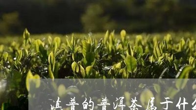 滇普的普洱茶属于什么/2023062197161