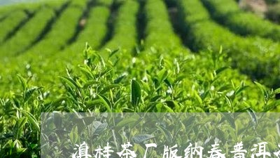 滇桂茶厂版纳春普洱茶/2023073188283