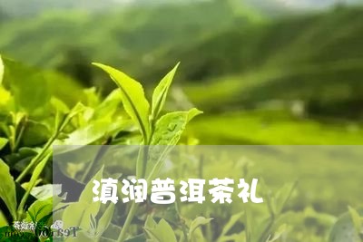 滇润普洱茶礼/2023090679382