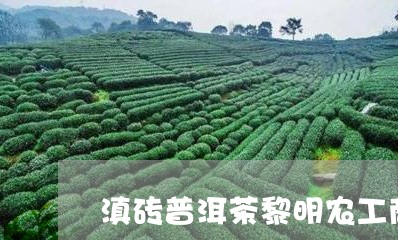 滇砖普洱茶黎明农工商/2023061781493