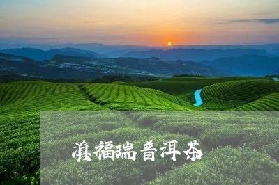 滇福瑞普洱茶/2023042569686