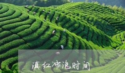 滇红冲泡时间/2023090632606