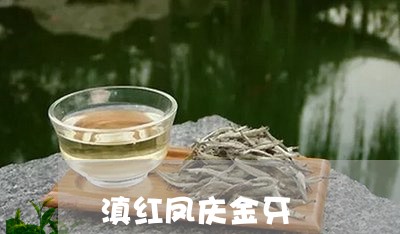 滇红凤庆金牙/2023090659595