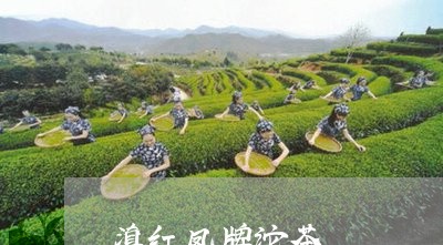 滇红凤牌沱茶/2023090708462