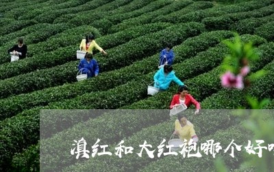 滇红和大红袍哪个好喝/2023061314846