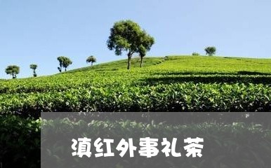 滇红外事礼茶/2023090724036