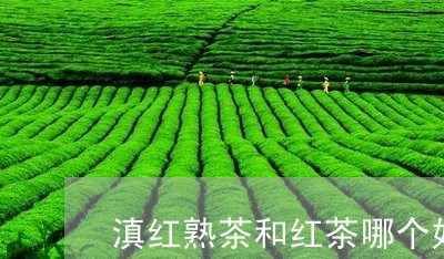 滇红熟茶和红茶哪个好/2023061320303