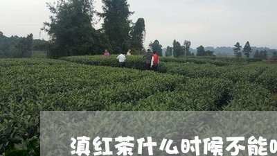 滇红茶什么时候不能喝/2023092541736