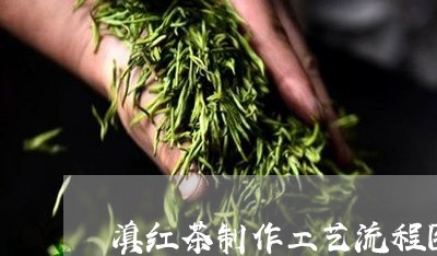 滇红茶制作工艺流程图/2023061369715