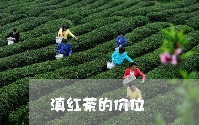 滇红茶的价位/2023090660301