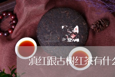 滇红跟古树红茶有什么区别/2023051005250