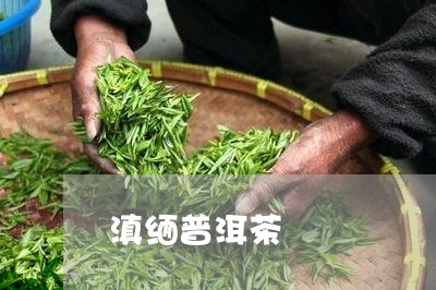 滇缅普洱茶/2023090531492