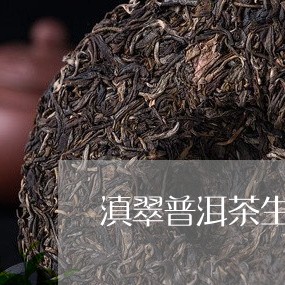 滇翠普洱茶生茶/2023101661716