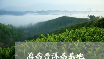 滇茶普洱茶基地/2023083150402