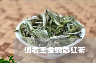 滇贡王金骏眉红茶/2023090977251