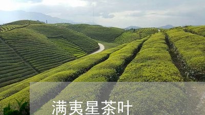 满夷星茶叶/2023090222503