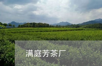 满庭芳茶厂/2023090292716