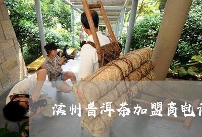 滨州普洱茶加盟商电话多少/2023051308179