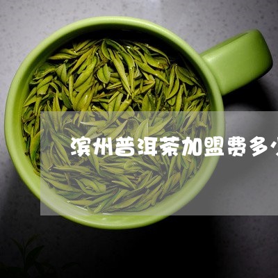 滨州普洱茶加盟费多少/2023092539460