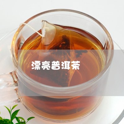 漂亮普洱茶/2023090593727