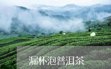 漏杯泡普洱茶/2023081844036