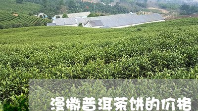 漫撒普洱茶饼的价格/2023071023826