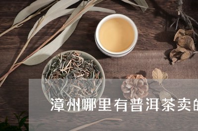 漳州哪里有普洱茶卖的地方/2023121825068