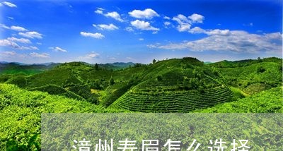 漳州寿眉怎么选择/2023090804848