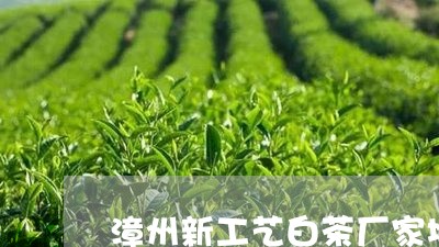 漳州新工艺白茶厂家地址/2023102717258