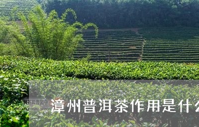 漳州普洱茶作用是什么/2023062829382